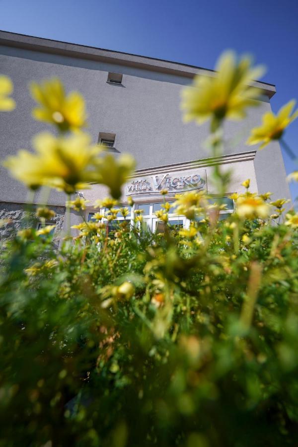 Villa Vicko Starigrad Paklenica Buitenkant foto